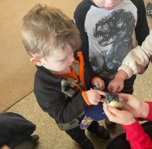 Day Nursery in Oswestry gallery
